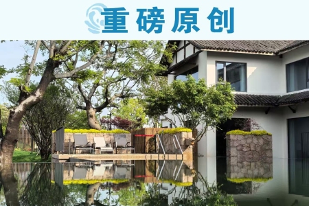 新桥这处“秘境”,为啥未开先火?