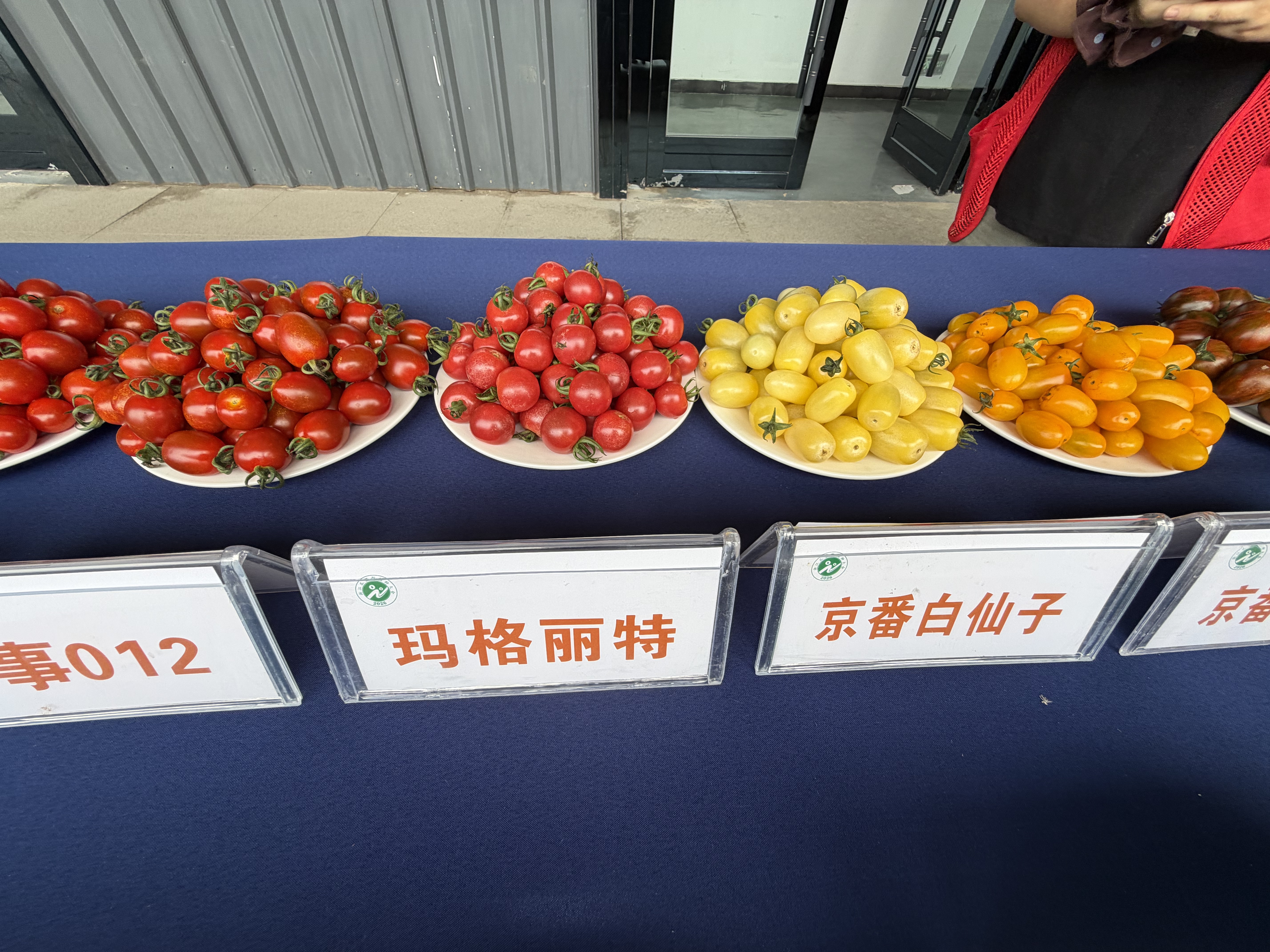 微信图片_20260612000638_17161_91.jpg